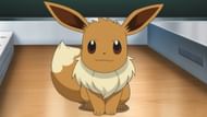 The Evolution Pokemon, Eevee (Image via The Pokemon Company)
